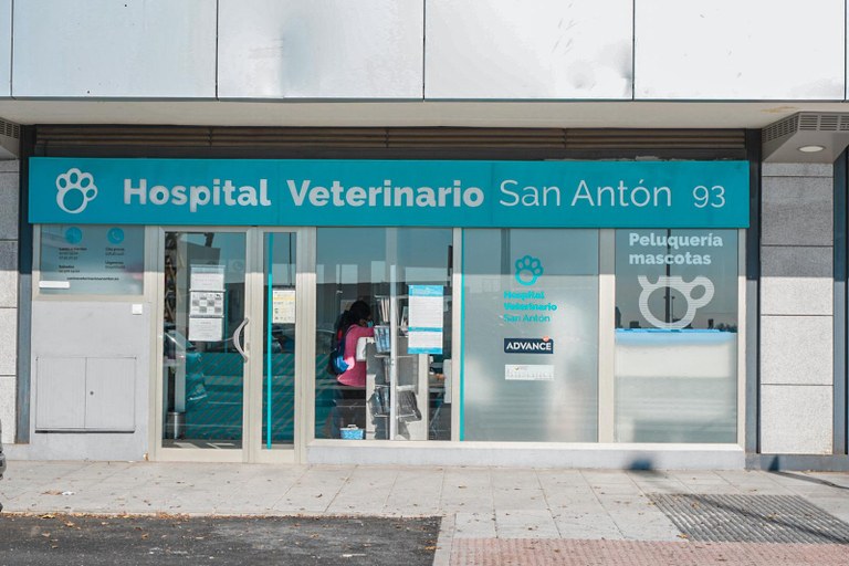 Ampliar 'HOSPITAL VETERINARIO SAN ANTN.jpeg' HOSPITAL VETERINARIO SAN ANTN.jpeg