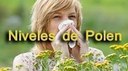 Información sobre niveles de polen