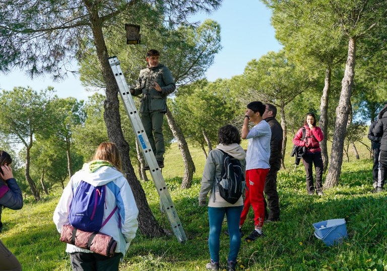 Ampliar 'Alumnos del ACE Marqués de Santillana colaboran con el mantenimiento de las cajas nido de la Dehesa para prevenir la procesionaria'