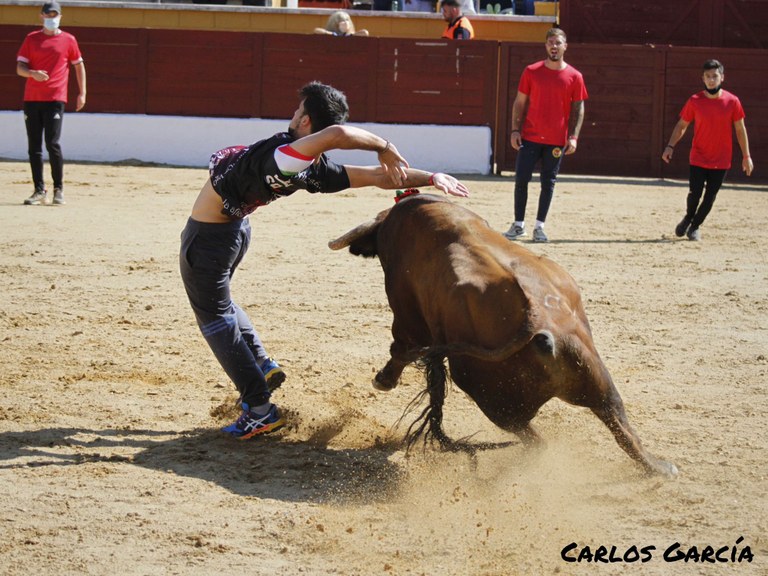 Ampliar 'Colmenar Viejo acoge este viernes el Gran Concurso de Recortadores'