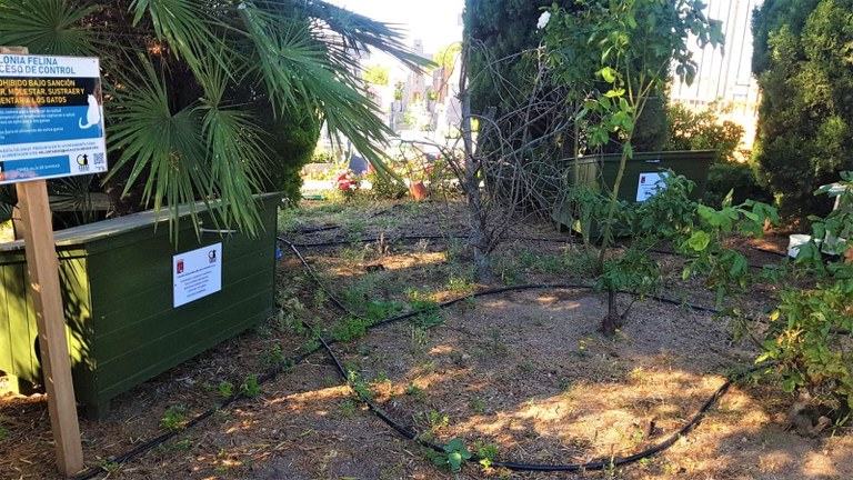 Ampliar 'Colmenar Viejo promueve la protección de las colonias felinas instalando casetas acondicionadas'