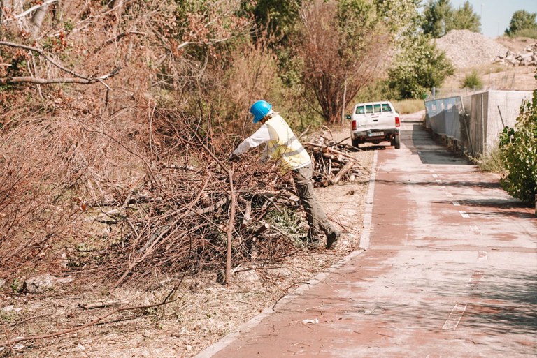 Ampliar 'Comienza la limpieza y naturalización del Arroyo Espino y ya hay luz verde para instalar la pasarela peatonal sobre el Arroyo Navarrosillos en La Estación'