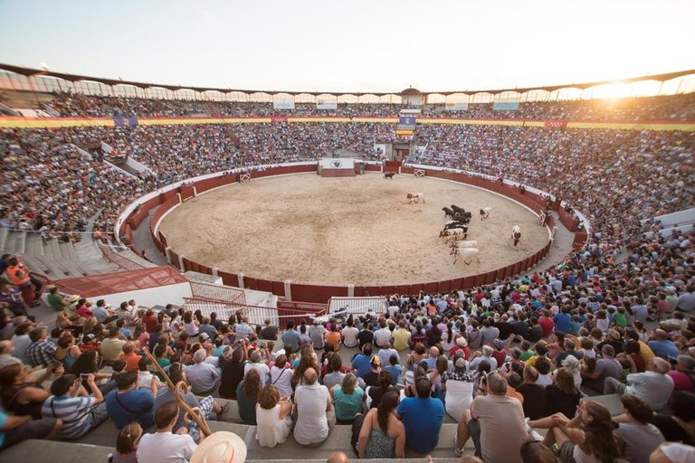 Ampliar 'Concurso de Pintura Taurina para elegir el Cartel de la Feria de Los Remedios 2017'