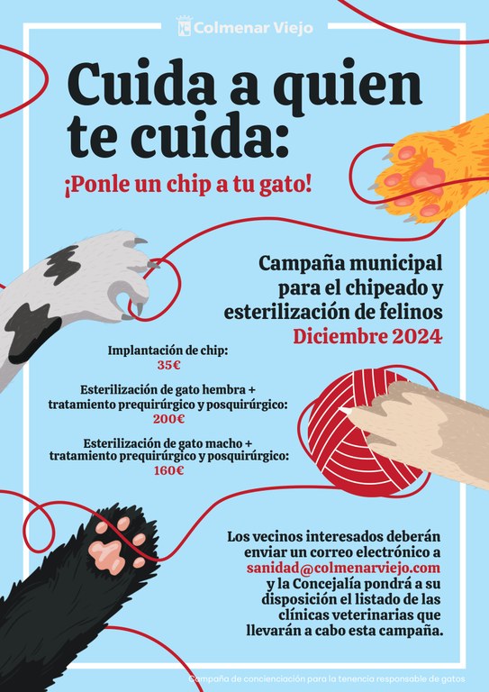 Ampliar 'El Ayuntamiento de Colmenar Viejo realizará una campaña durante el mes de diciembre de concienciación para la tenencia responsable de gatos'