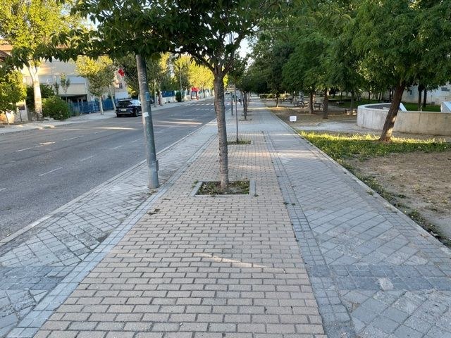Ampliar 'En los próximos meses se reformará el tramo norte de avenida de Andalucía'