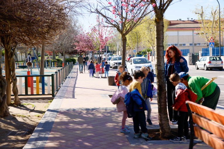 Ampliar 'Escolares de Colmenar Viejo siembran semillas de flores en varios alcorques del municipio'