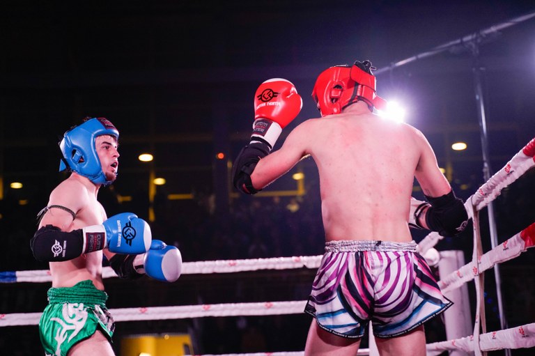Ampliar 'Este fin de semana: bailes de verano, Mercado de Productores y velada de boxeo y muay thai'