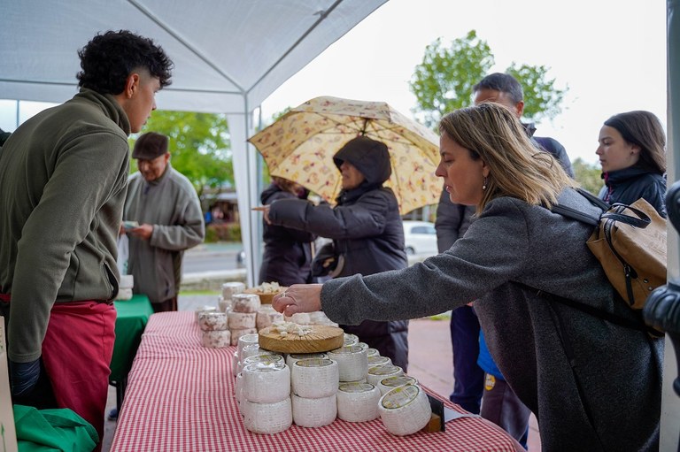 Ampliar 'Este fin de semana: VIII Jornadas de Pastoreo, Feria de Quesos Artesanales, marcha y cocido solidarios y campeonato de danza urbana'