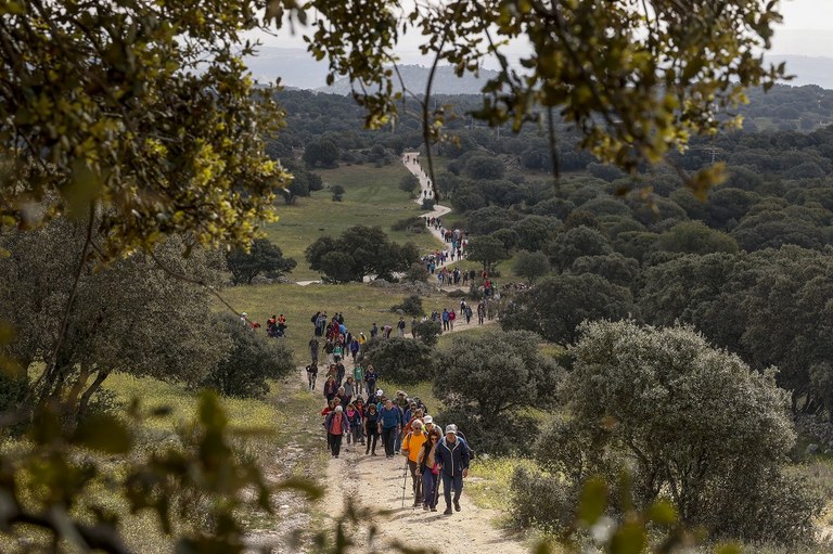 Ampliar 'Jornadas de Medio Ambiente 2025: actividades ambientales de sensibilización ciudadana'