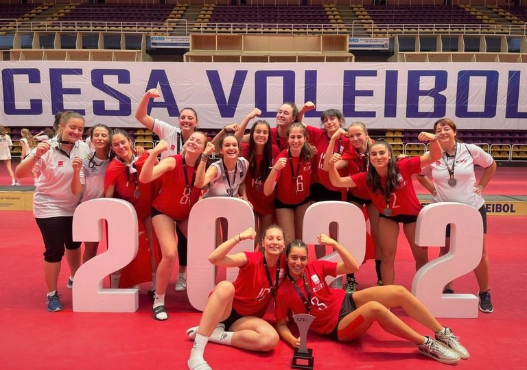 Ampliar 'La colmenareña Leyre Arroyo se proclama subcampeona de España de Voleibol'