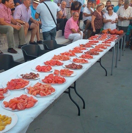 Ampliar 'Los mejores tomates de la temporada en el X Concurso de Hortelanos de Colmenar Viejo'