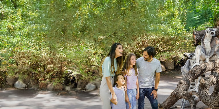 Ampliar 'Ofertas especiales para los colmenareños que quieran disfrutar del verano en los diferentes parques temáticos de Madrid'