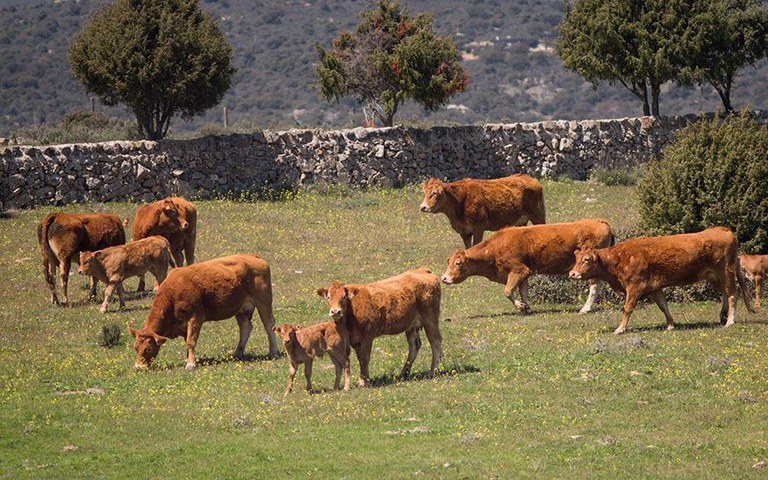 Ampliar 'Policía Local finaliza con cero incidencias un Plan Especial de Vigilancia Rural'