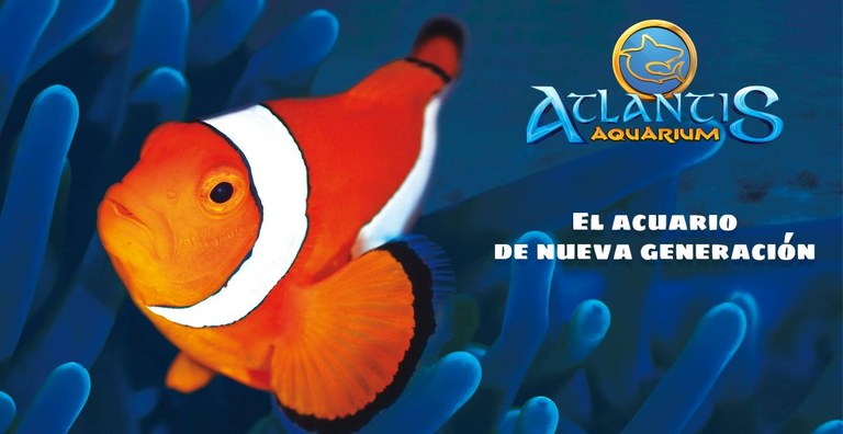 Ampliar 'Precios especiales en Atlantis Aquarium este fin de semana para los vecinos de Colmenar Viejo'